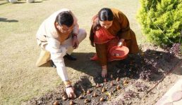 मुख्यमंत्री द्वारा आवास परिसर में किया गया ट्यूलिप की 17 प्रजातियों का रोपण, इसके व्यवसायिक उत्पादन की कार्य योजना बनाने के निर्देश