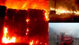 उत्तराखंड में यहां लगी भीषण आग, करोड़ों का सामान हुआ खाक