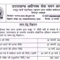 UKSSSC ने निकाली 370 पदों पर भर्ती, 16 मार्च तक कर सकते हैं आवेदन, पढ़ें पूरी जानकारी