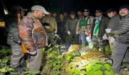 Uttarakhand आखिरकार पकड़ा गया आदमखोर बाघ, 3 महिलाओं को बना चुका था शिकार