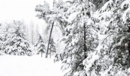 Uttarakhand Weather एक बार फिर बारिश और बर्फबारी का अलर्ट, इन जिलों में 21 फरवरी तक सतर्क हुआ प्रशासन