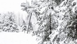 उत्तराखंड मौसम – इन जिलों में होगी बर्फबारी-बारिश, 6 फरवरी तक का सटीक मौसम अलर्ट जानिए
