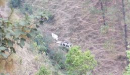 पिथौरागढ़ में भीषण वाहन दुर्घटना, 4 लोगों की मौत, 4 घायलों को अस्पताल पहुंचाया