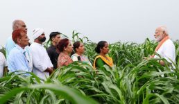 पीएम मोदी ने फसलों की 109 किस्मों को जारी किया, उच्च उपज देने वाली, जलवायु अनुकूल और जैव-प्रतिबलित हैं ये किस्में, किसानों और वैज्ञानिकों से बातचीत भी की