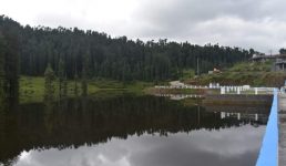 Uttarakhand चंपावत की कोलीढेक झील में मिलेगा कश्मीर जैसा अहसास, टी-गार्डन भी पर्यटकों को करेंगे आकर्षित, डीपीआर तैयार