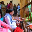 मुख्यमंत्री धामी ने मां धारी देवी के मंदिर में की पूजा-अर्चना, प्रदेशवासियों की सुरक्षा, सुख-समृद्धि एवं आपदा राहत की कामना की, भावुक हुए श्रद्धालु