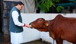 मुख्यमंत्री पुष्कर सिंह धामी ने गोवर्धन पूजा के अवसर पर गौमाता की पूजा-अर्चना कर प्रदेश की खुशहाली, समृद्धि और जन कल्याण की कामना की