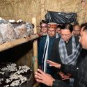 मुख्यमंत्री पुष्कर सिंह धामी ने किया हरिद्वार के बुग्गावाला में ‘मशरूम ग्राम’ का शुभारंभ, किसानों की आय बढ़ाने की नई पहल